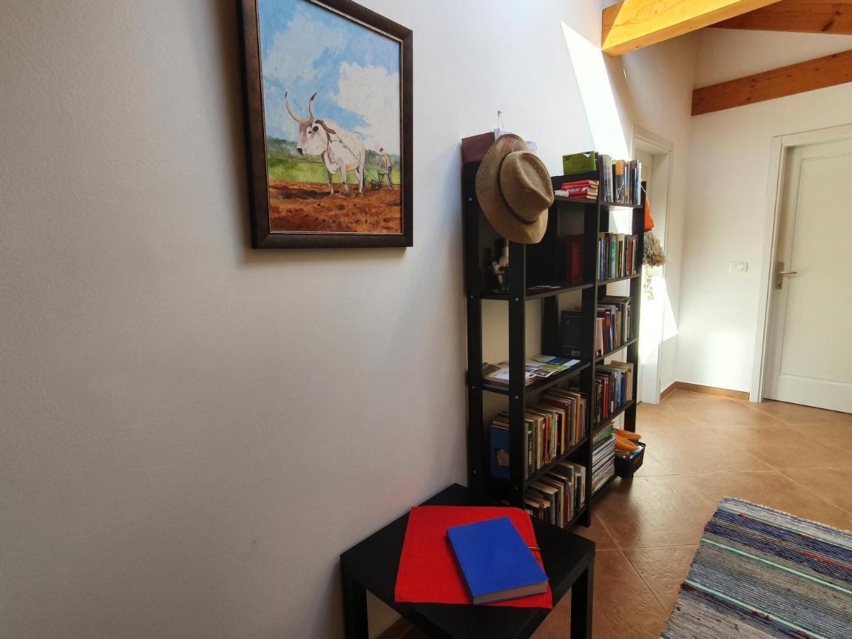 Casa Dei Boscarini Hotel Buje Bagian luar foto